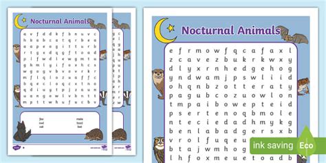 Nocturnal Animals Word Search Ks1 Primary Resources