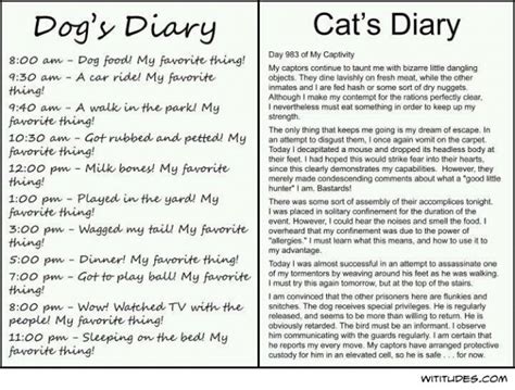 Dogs Diary Vs Cats Diary Wititudes