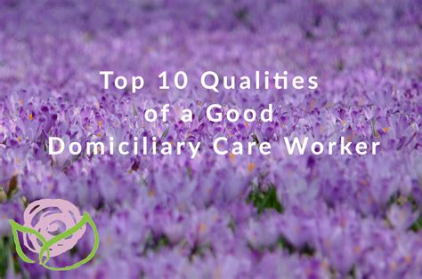 10 Qualities Of A Carer What Care Skills Are Needed