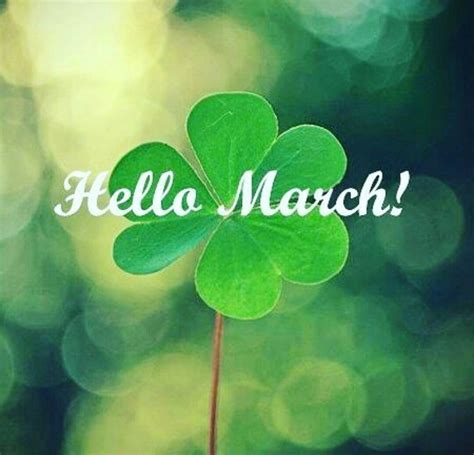 Welcome March Images Pictures Quotes Flowers Photos For Facebook