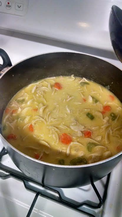 I only used 1.5 onions, 2 cloves of garlic, and 1.5 teas of salt. Mom's Crock Pot Creamy Chicken Noodle Soup (From Carcass ...