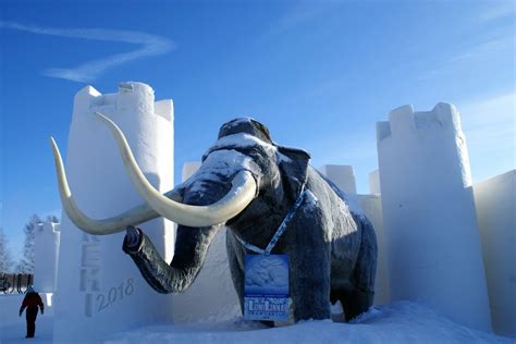Guided Tour At The Snow Castle Taxari Travel Agency Lapland