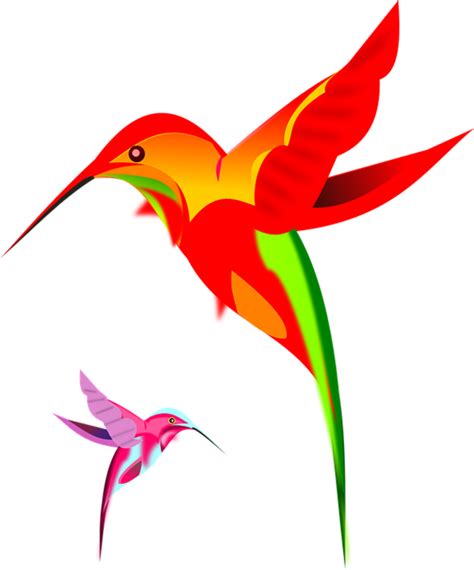 Hummingbird Png Image With Transparent Background Free Png Images