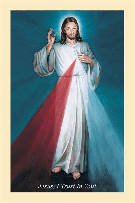 Divine Mercy Image Diocese Of Venice