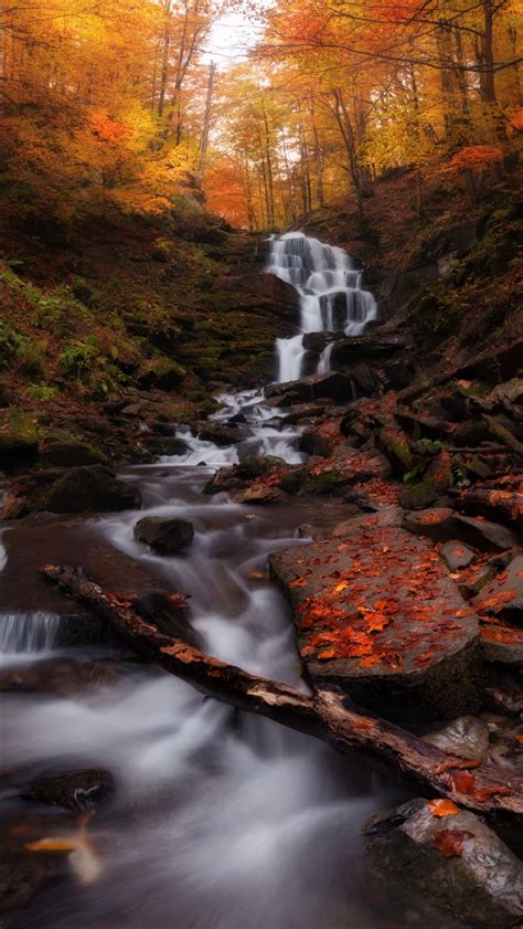 Wallpapers Hd Autumn Forest Waterfall