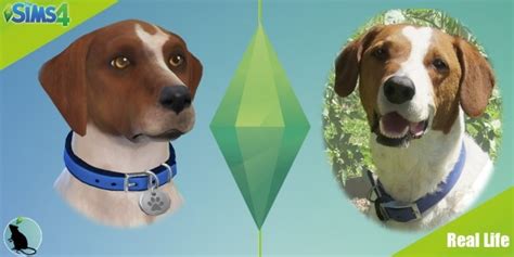 Dog Sims 4 Updates Best Ts4 Cc Downloads