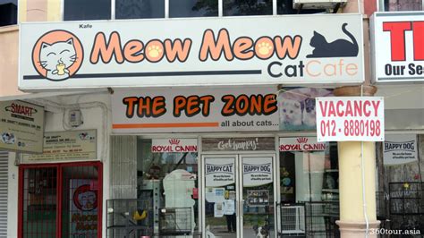Meow Cat Cafe Closed Inspirasi Terbaru Untuk Anda