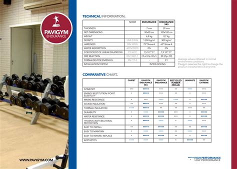 Fitness Excellence :: Fitness Floor :: Pavigym