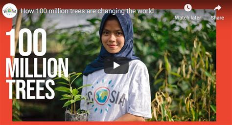 How 100 Million Trees Are Changing The World Ecosia Twin Flame Serenity