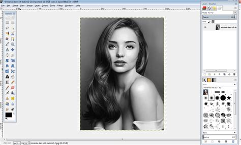 How To Colorize A Black And White Picture In Gimp Tutorials
