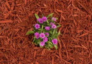 The Best Color Mulch To Match Your House