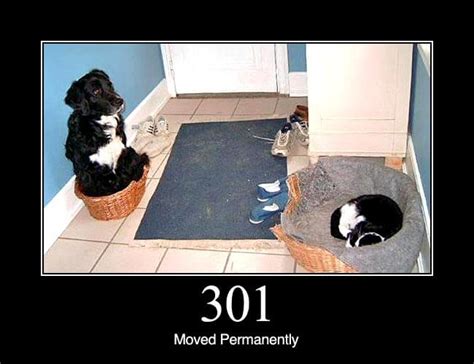 301 Moved Permanently Status Dogs