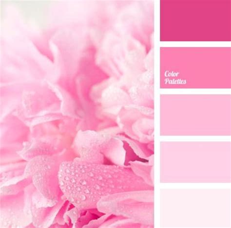 Pink And Soft Pink Color Palette Color Palette Pink Color Palette