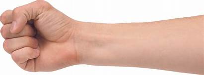 Hand Forearm Hands Clipart Transparent Background Clipground