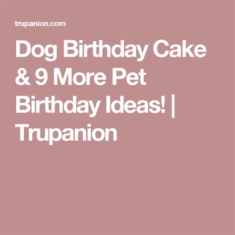 Dog Birthday Cake And 9 More Pet Birthday Ideas Trupanion Dog