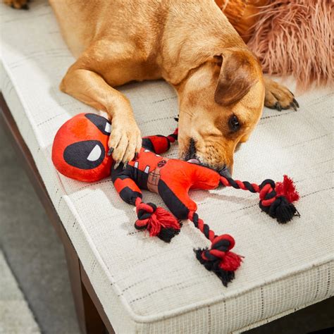 Marvel S Deadpool Plush With Rope Squeaky Dog Toy Chewy Disney