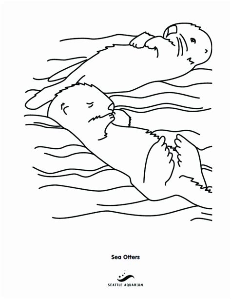 Sea Otter Coloring Pages Crafts Otters Baby Sketch Coloring Page