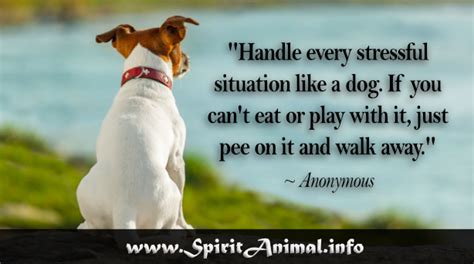 Funny Dog Quotes Spirit Animal Info