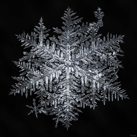 Snowflake-a-Day #91 | This is the biggest snowflake I have p… | Flickr