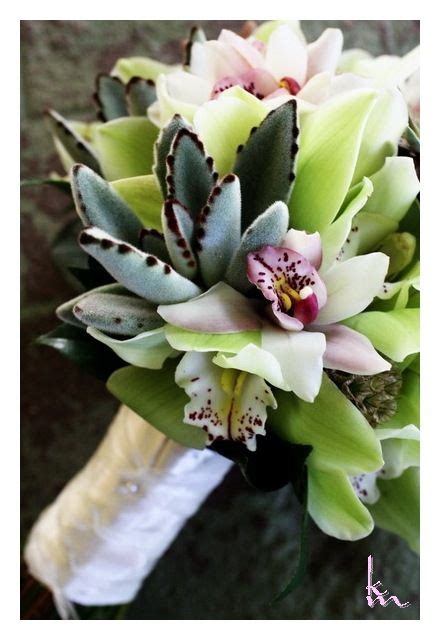 Maybe you would like to learn more about one of these? succulent bouquet with orchid using the succulent panda ...