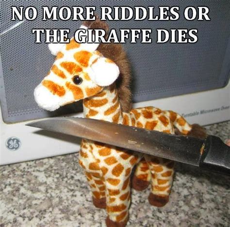 What I Learned On Facebook Giraffe Profile Pictures The Riddle And The