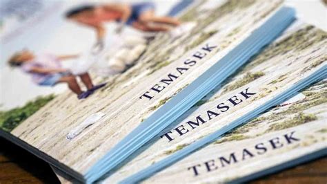 Temasek Boosts Exposure To Chinese Us Assets Pensions And Investments