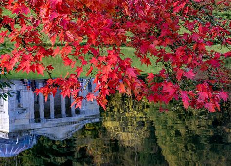 Hd Wallpaper Autumn Leaves Branches Lake Reflection England