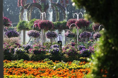 In Pictures Dubai Miracle Garden Welcomes Back Visitors With 150m