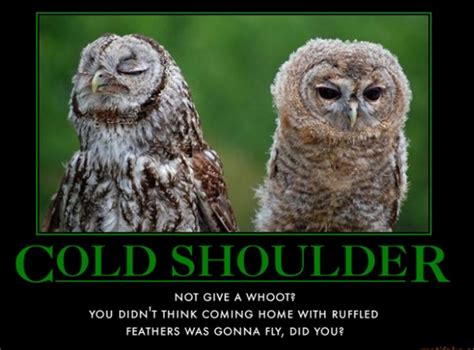 give someone the cold shoulder · albert s tips