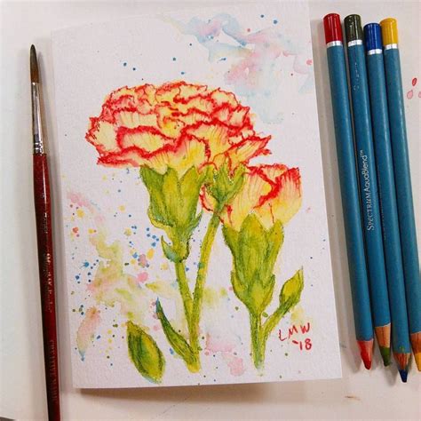 Here are lots of pretend play ideas on imagination soup, great ideas on childhood 101, and â 25 easy ideas from no time for flashcards. Easy-Peasy Watercolor Pencil Project: Carnations ...