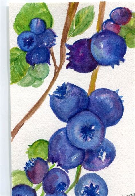 Blueberry Painting Blueberries Watercolor Painting Original 5 X 7