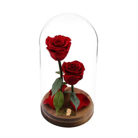 Began its journey in 1999 in london as a family owned events company supplying lifelong roses. Live Forever Rose in Glass Dome Mother Gift Home decor ...
