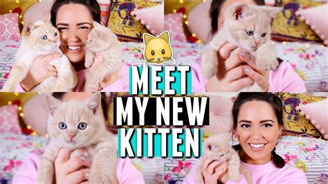 Meet My Kitten 🐱 Name Reveal Vlog From The Day Youtube