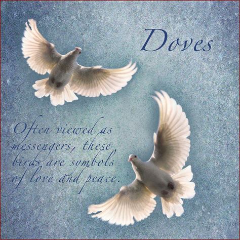 Christian Symbols Christian Symbols Peace Dove Beautiful Birds