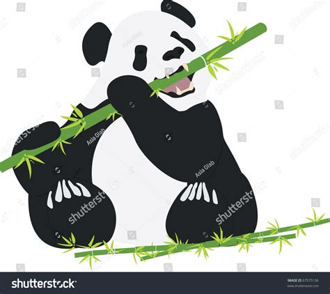 Giant Panda Eating Bamboo Stock Vector Royalty Free 67575136