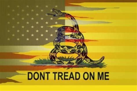 superimposed with american flag gadsden flag don t tread on me know your meme