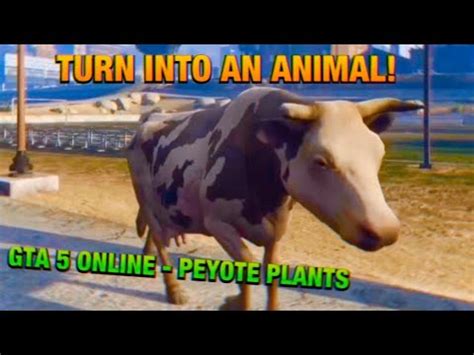 How to install mod menu on xbox one, ps4, xbox 360, & ps3) | latest patch! TURN INTO AN ANIMAL?! (GTA 5 ONLINE- PEYOTE PLANTS) - YouTube