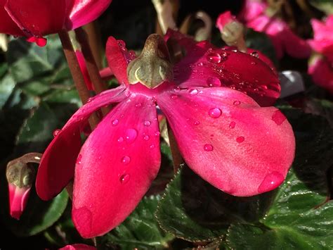 Treasures found on a Saturday