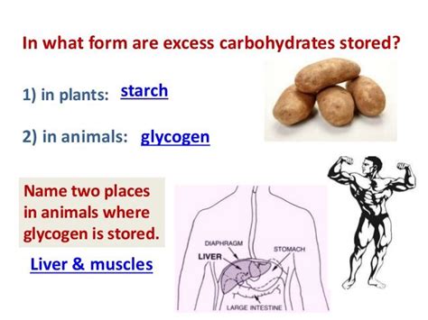 This health information was not created by the university of michigan health system (umhs) and may not necessarily reflect specific. These are both storage polysaccharides and carbohydrates ...