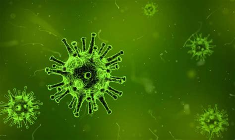 Six Viruses That Cause Cancer Chicago Health