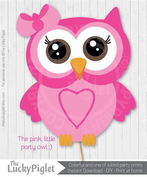 Owl Decorations Pink Owl Party Decorations Owl Baby Shower