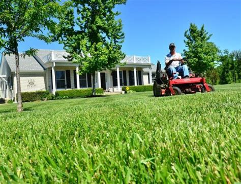 Precision Lawn Care The Town Of Jefferson New York
