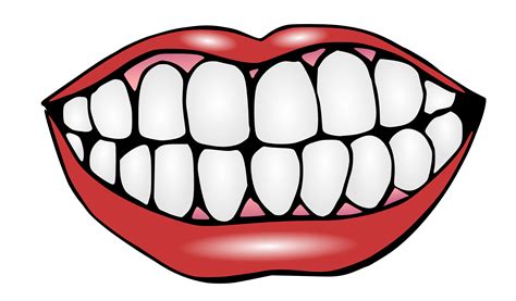 Teeth Png Transparent Background Images