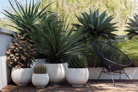 It's not always easy, but you can do it. Garden Pots | Secret Gardens: Sydney Landscape Architecture