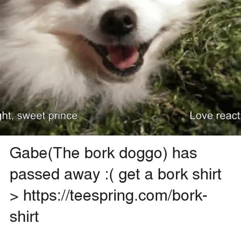 25 Best Bork Doggo Memes Borking Memes Bork Bork Doggo Memes