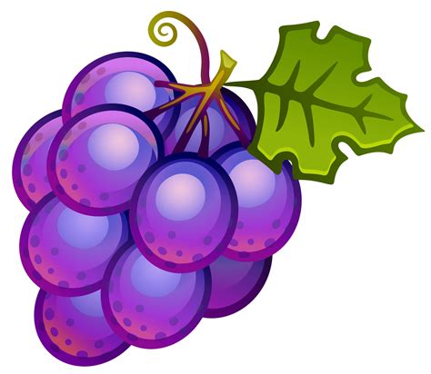 Large Painted Grapes PNG Clipart | Gallery Yopriceville ...