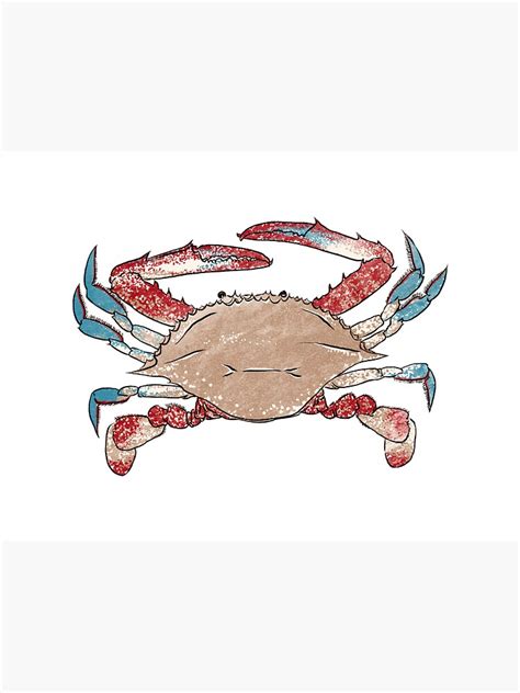 Illustration Of Crab Sticker For Sale By Iswenyi Redbubble