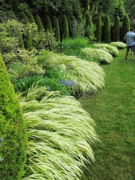 42 Amazing Evergreen Grasses Landscaping Ideas Gardening Ornamental