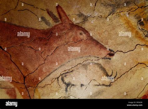 Deer And Bison In Altamira´s Reproduction Cave Neo Cave Upper