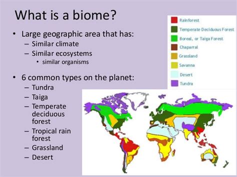 Ecosystems, biomes, and biological communities. Biomes and climate